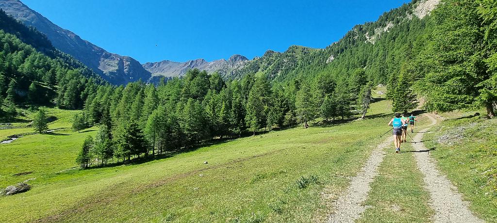 20210718_095711.jpg