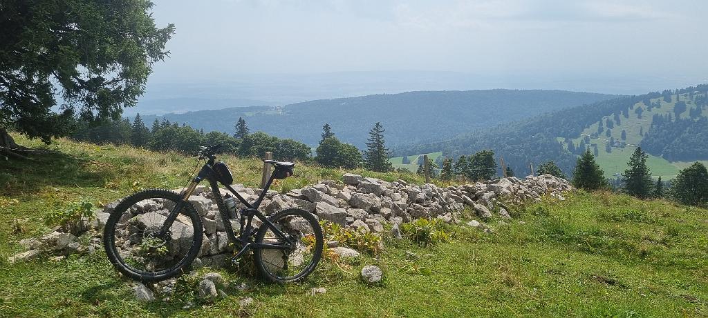 20210815_123730.jpg