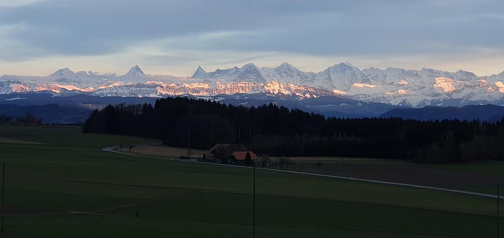 20210208_173144.jpg
