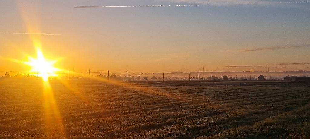20211023_081653.jpg