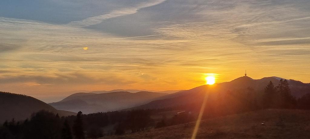 20211111_165101.jpg