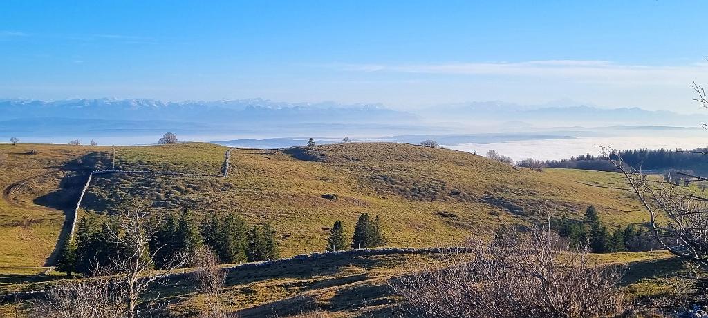 20211112_154350.jpg