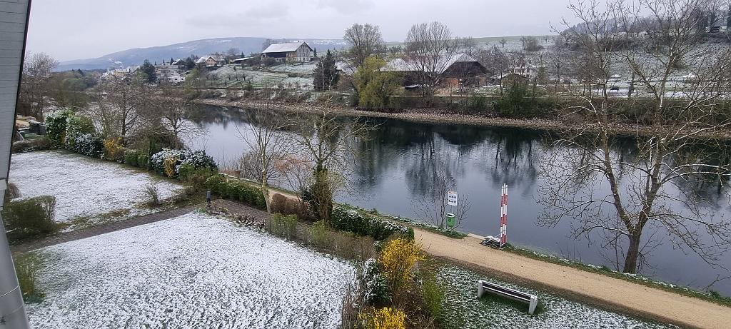 20220402_075639.jpg